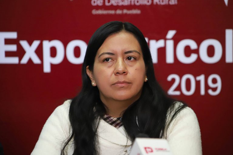 La SDR, Comprometida Con Mujeres Productoras De Puebla: Altamirano ...